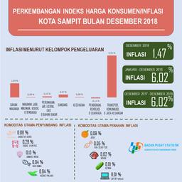 Selama Desember 2018, Kota Sampit Mengalami Inflasi Sebesar 1,47 Persen